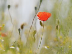 Unser Start zu nachhaltigem schweizer Infrastrukturbau